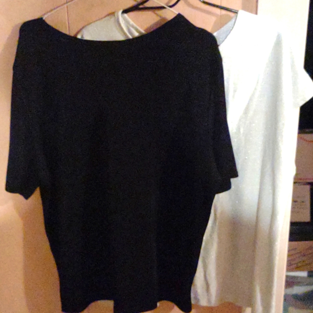 2 Day & Evening "Glitter" Blouses